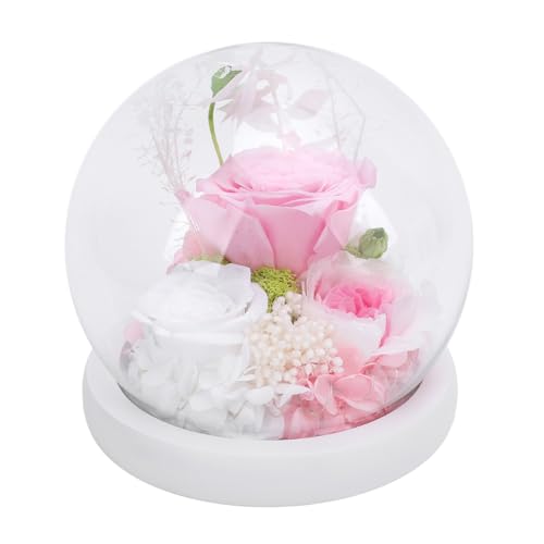 Asixxsix Blumen Glas Globus Licht, Elegante LED -Rosenlampe mit Holzbasis für Wohnkultur, Romantische Geschenke für Frauen Mutter Frau Ihren Geburtstag Weihnachten Mutter Tag (Typ 1) von Asixxsix