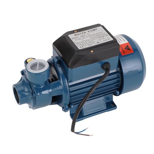 Asixxsix Sonnenbrunnenpumpe, 650 W 3400 R/min 35 M Heben Kleiner Wassertransfer Gartenpumpe Einen Auslassdruckpumpe für Bewässerung Marine Boat Sprinkler Wasserhahn (AC220V) von Asixxsix