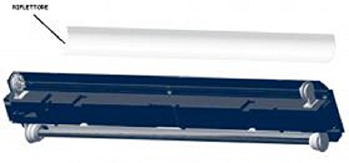 ASKOLL 963216 Ambiente Reflektor 100X40 - bis Entriegelung von Askoll