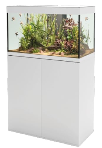 Askoll Opera Stand 150 Steel Askoll Opera Stand 150 Steel von Askoll