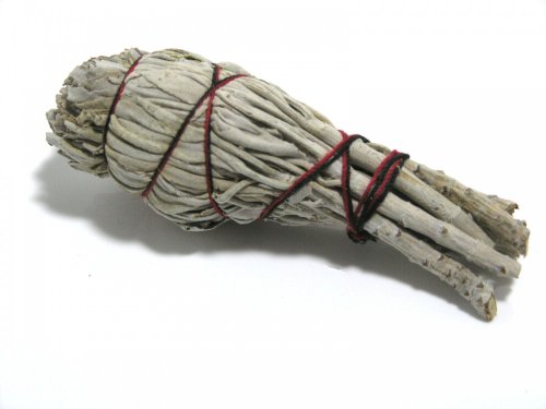Asmondia Weißer Salbei Smudge Stick MINI - gebundener weißer Salbei ca. 17g von Asmondia
