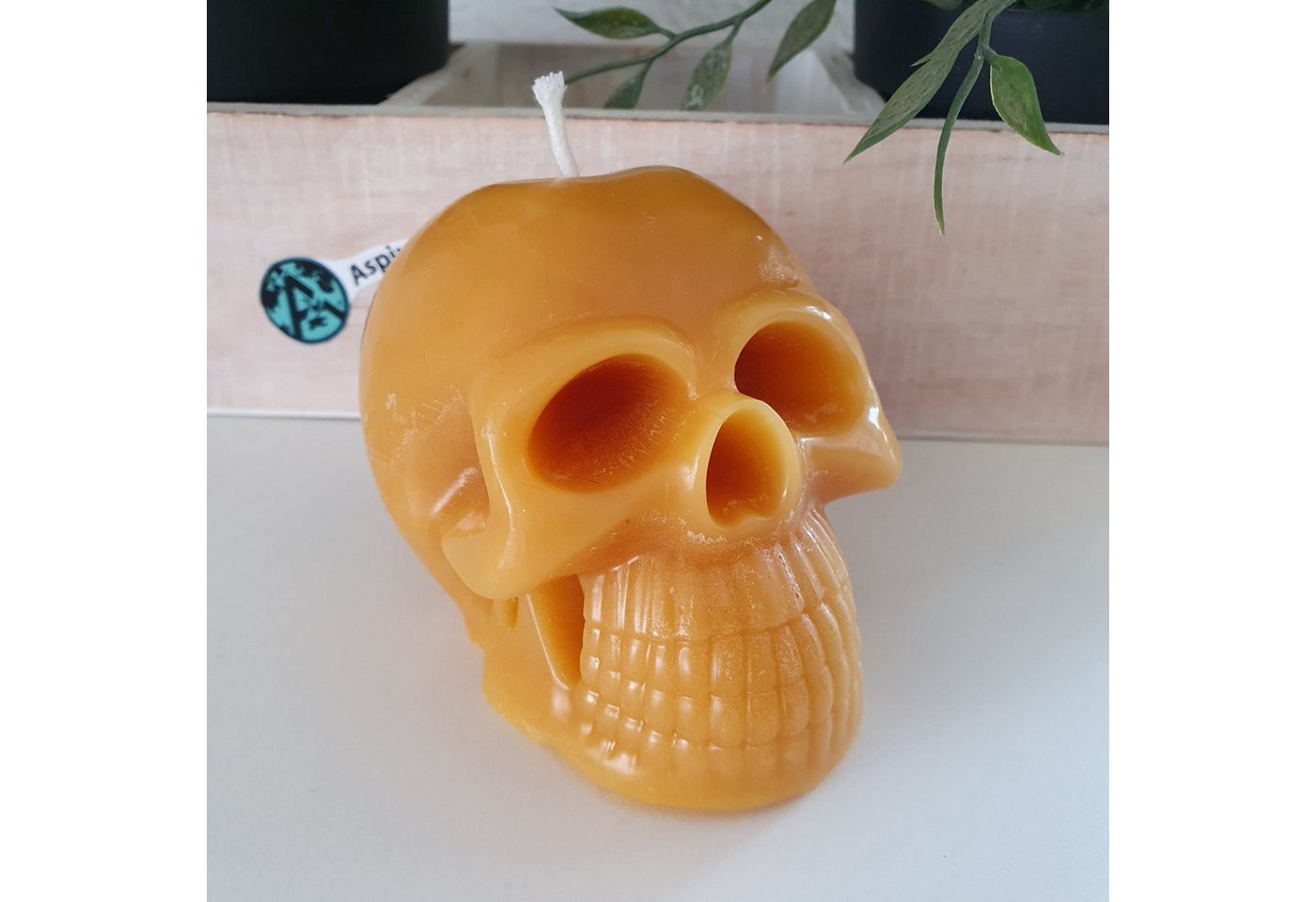 Aspinaworld Bienenwachskerze Totenkopf Kerze 7 cm 100% Bienenwachs von Aspinaworld