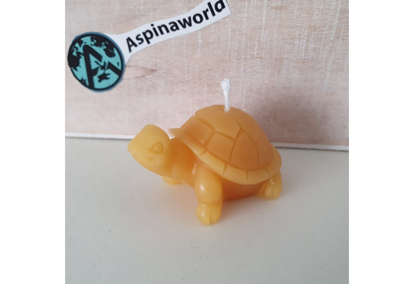 Aspinaworld Formkerze Bienenwachskerze Kleine Schildkröten Kerze 2 cm Aspinaworld Formkerze Bienenwachskerze Kleine Schildkröten Kerze 2 cm von Aspinaworld