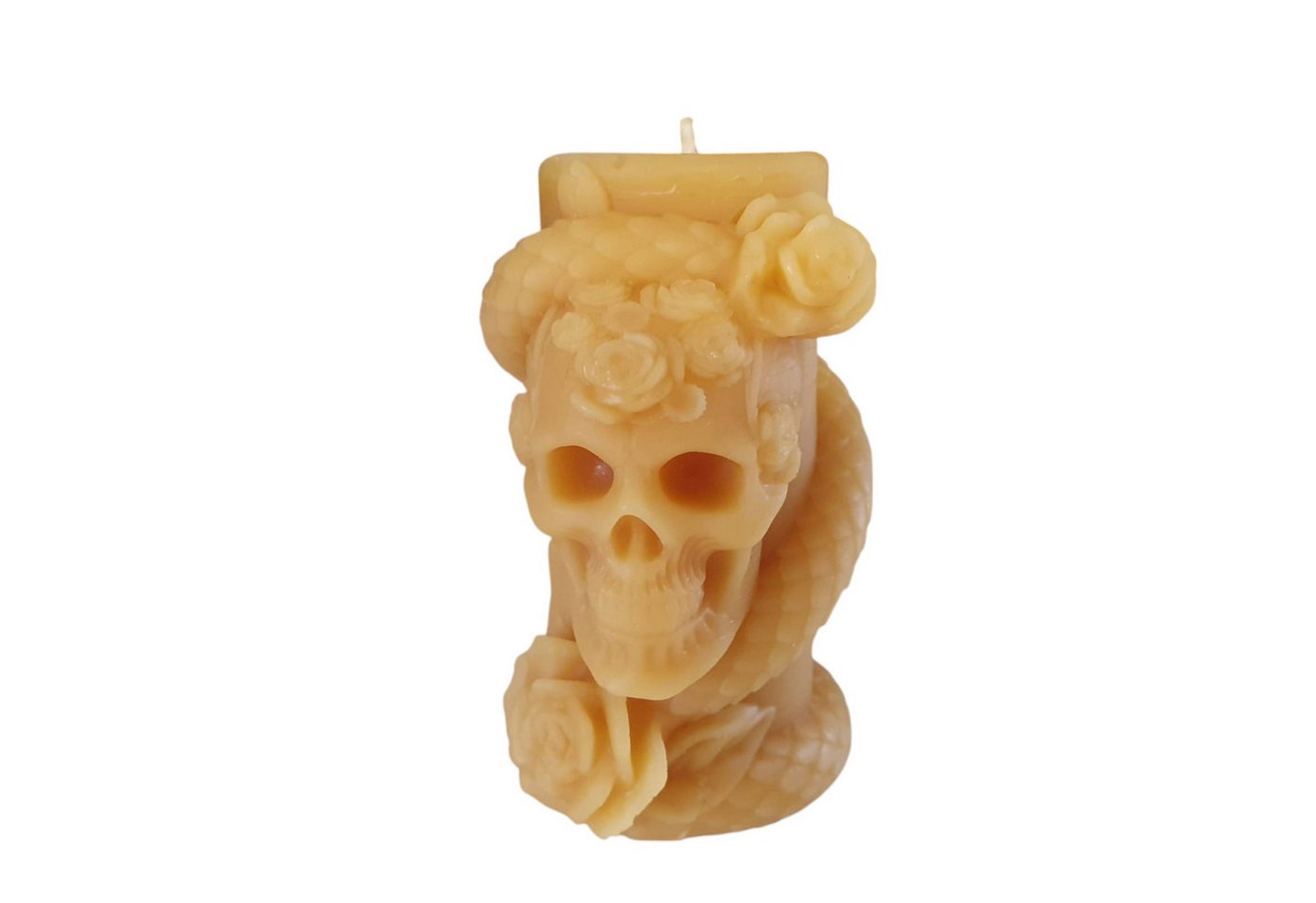 Aspinaworld Formkerze Bienenwachskerze Totenkopf Kerze mit Schlange 10 cm Aspinaworld Formkerze Bienenwachskerze Totenkopf Kerze mit Schlange 10 cm von Aspinaworld