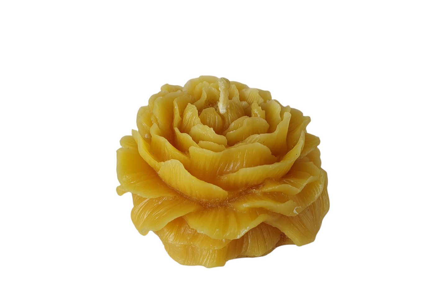 Aspinaworld Formkerze Bienenwachskerze Rosen Kerze 3,5 cm Aspinaworld Formkerze Bienenwachskerze Rosen Kerze 3,5 cm von Aspinaworld