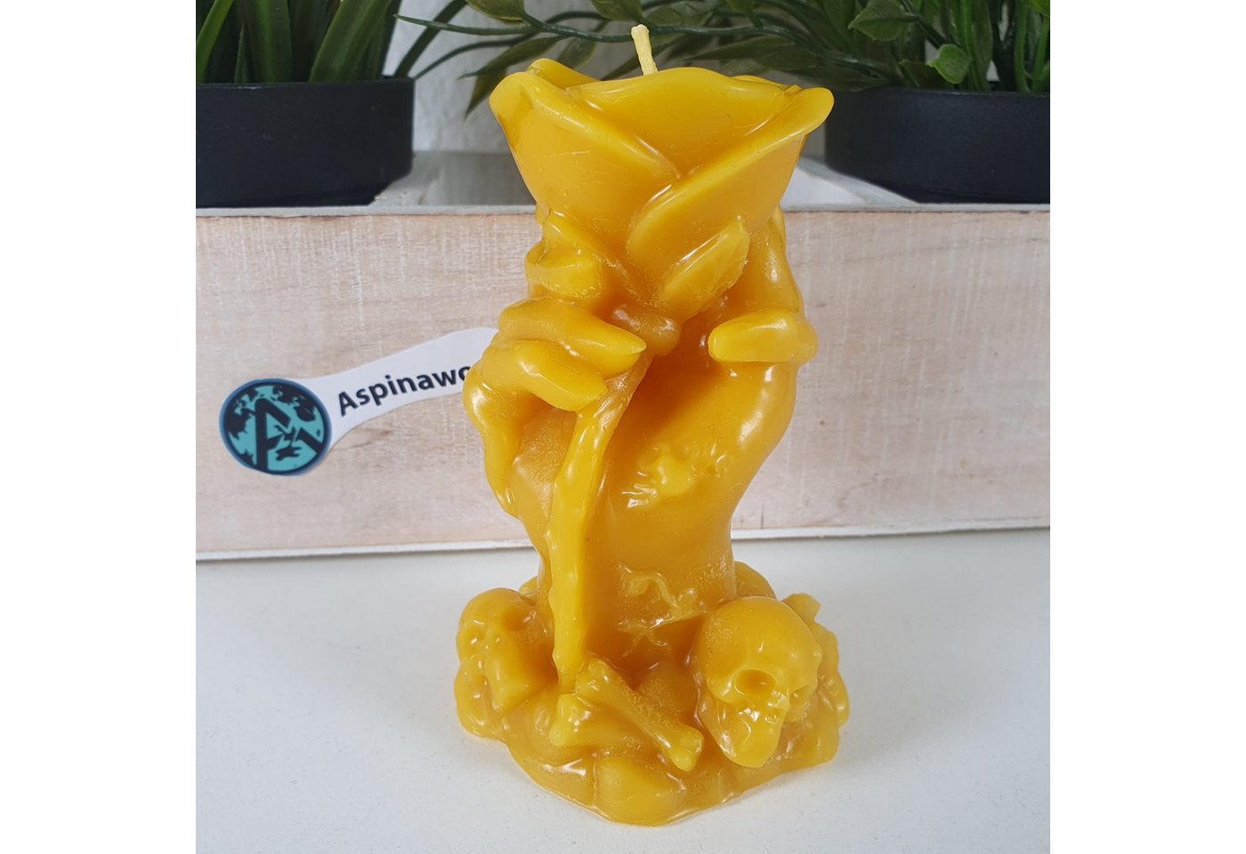 Aspinaworld Formkerze Bienenwachskerze Rosen Kerze in Hand 9 cm Aspinaworld Formkerze Bienenwachskerze Rosen Kerze in Hand 9 cm von Aspinaworld