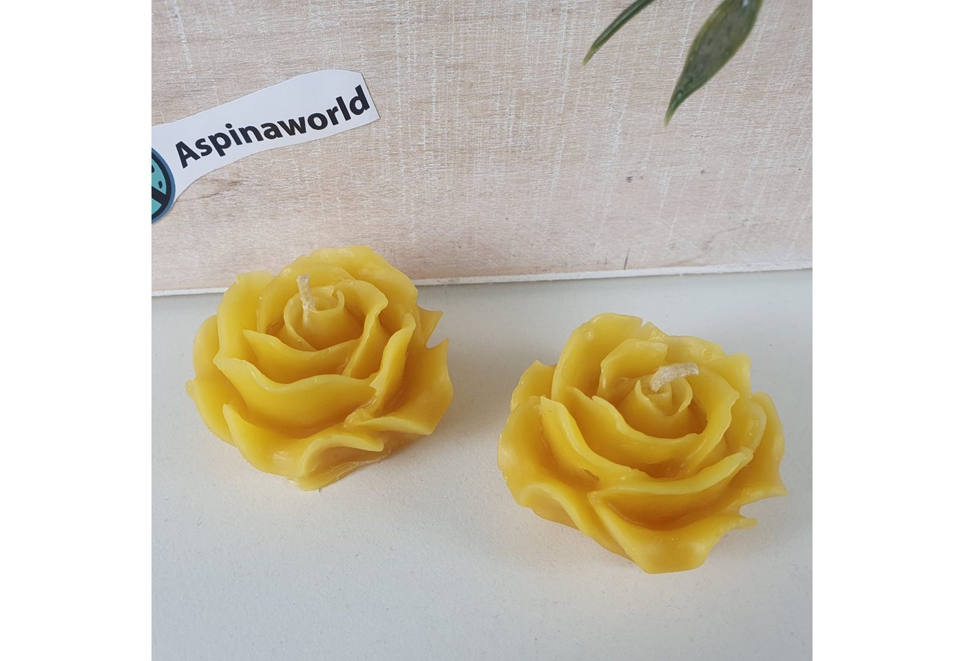 Aspinaworld Formkerze Bienenwachskerze - kleine Rosen Kerzen im 2 er Set 1,5 cm - Honigkerze (2-tlg) Aspinaworld Formkerze Bienenwachskerze - kleine Rosen Kerzen im 2 er Set 1,5 cm - Honigkerze (2-tlg) von Aspinaworld