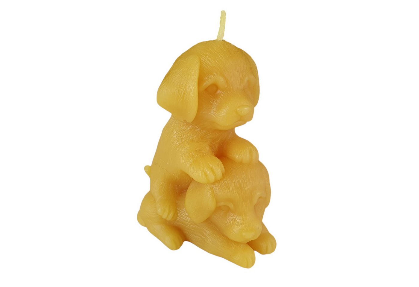Aspinaworld Formkerze Bienenwachskerze verspielte Hunde Kerze 9 cm Aspinaworld Formkerze Bienenwachskerze verspielte Hunde Kerze 9 cm von Aspinaworld