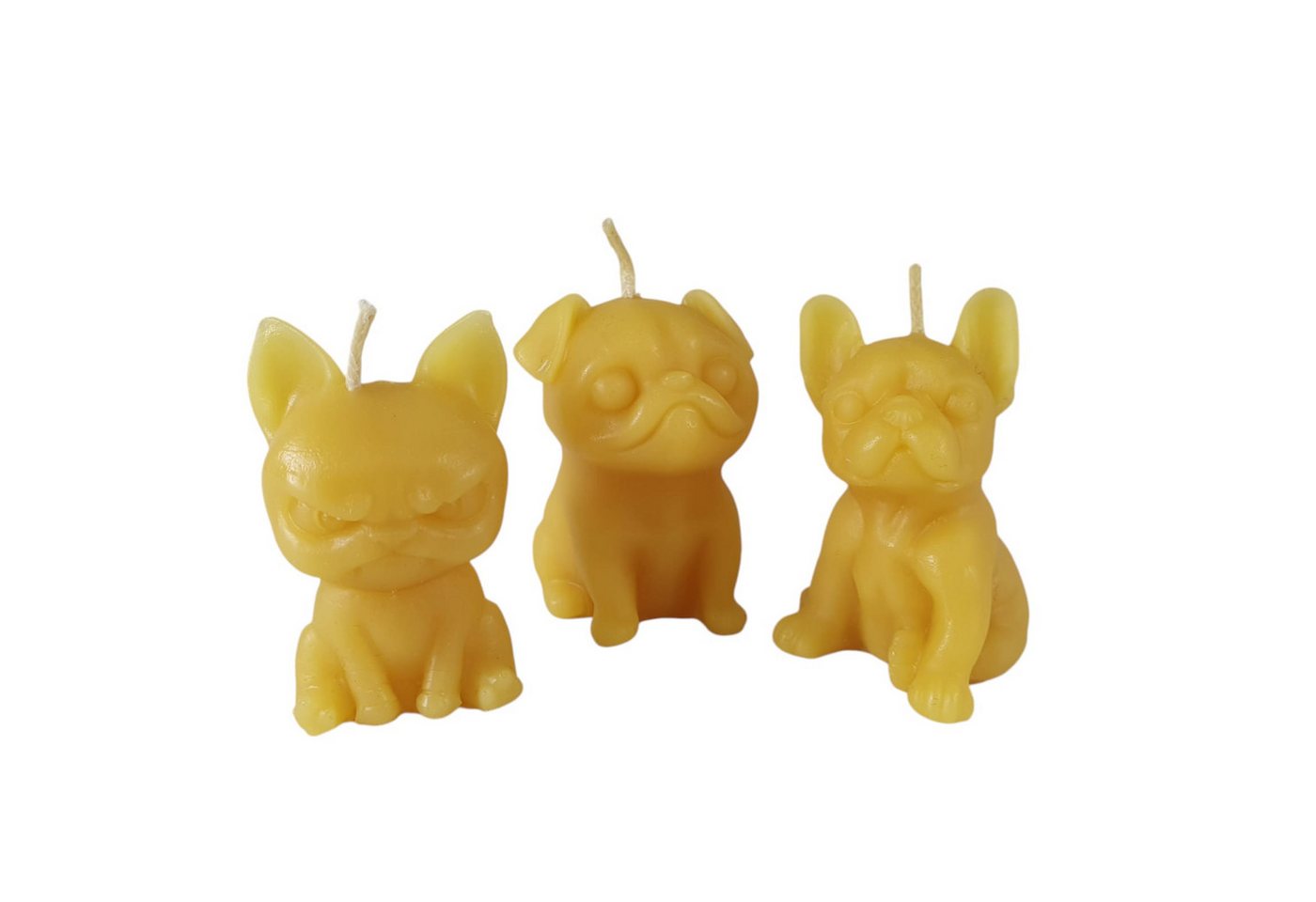 Aspinaworld Formkerze Bienenwachskerze - Süsse Hunde Kerze im 3er Set 5 cm - Honigkerze Aspinaworld Formkerze Bienenwachskerze - Süsse Hunde Kerze im 3er Set 5 cm - Honigkerze von Aspinaworld