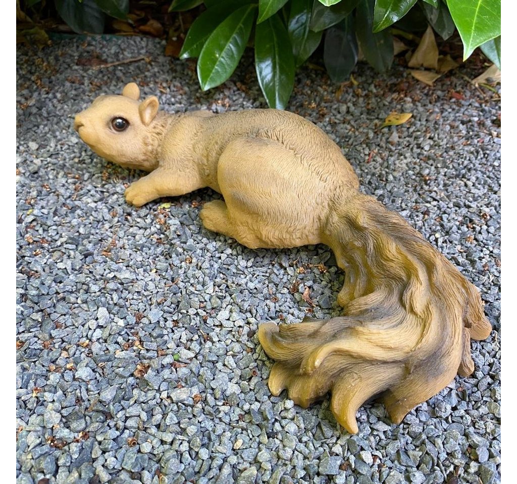 Aspinaworld Gartenfigur Eichhörnchen Figur Wanddekoration 31 cm wetterfest von Aspinaworld