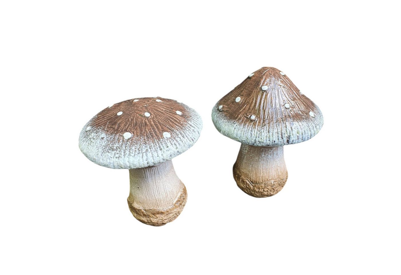 Aspinaworld Gartenfigur Fliegenpilz 2er Set 13 cm wetterfest Aspinaworld Gartenfigur Fliegenpilz 2er Set 13 cm wetterfest von Aspinaworld