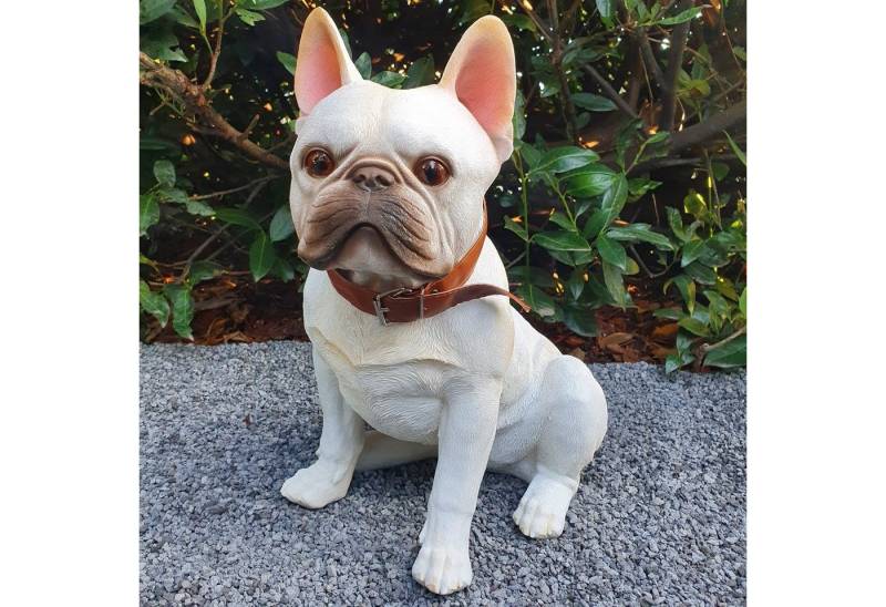 Aspinaworld Gartenfigur Französische Bulldogge Figur sitzt 43 cm wetterfest Aspinaworld Gartenfigur Französische Bulldogge Figur sitzt 43 cm wetterfest von Aspinaworld