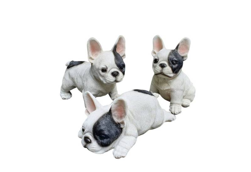 Aspinaworld Gartenfigur Französische Bulldogge Welpen Figur 3er Set 13 cm wetterfest Aspinaworld Gartenfigur Französische Bulldogge Welpen Figur 3er Set 13 cm wetterfest von Aspinaworld