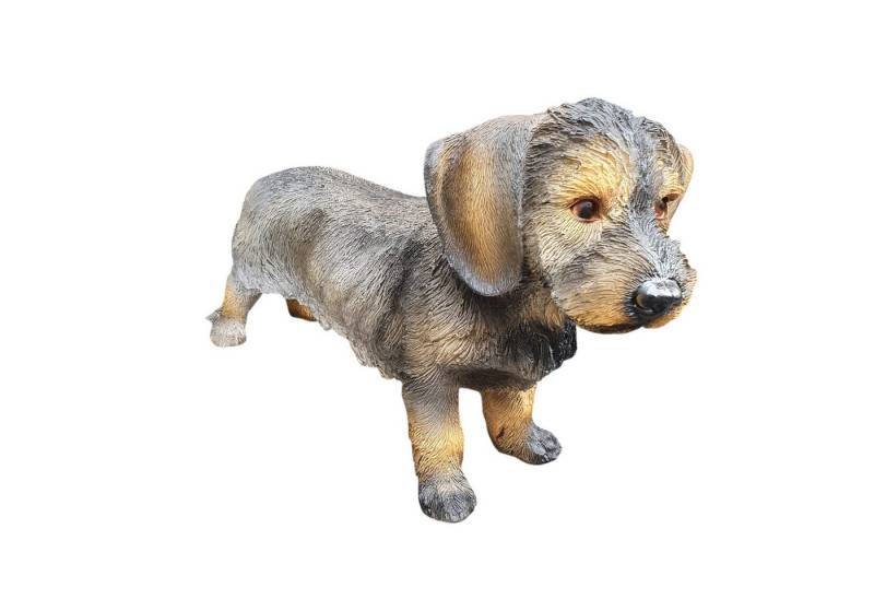 Aspinaworld Gartenfigur Gartenfigur Rauhaardackel Figur 27 cm, Figuren für den Garten von Aspinaworld