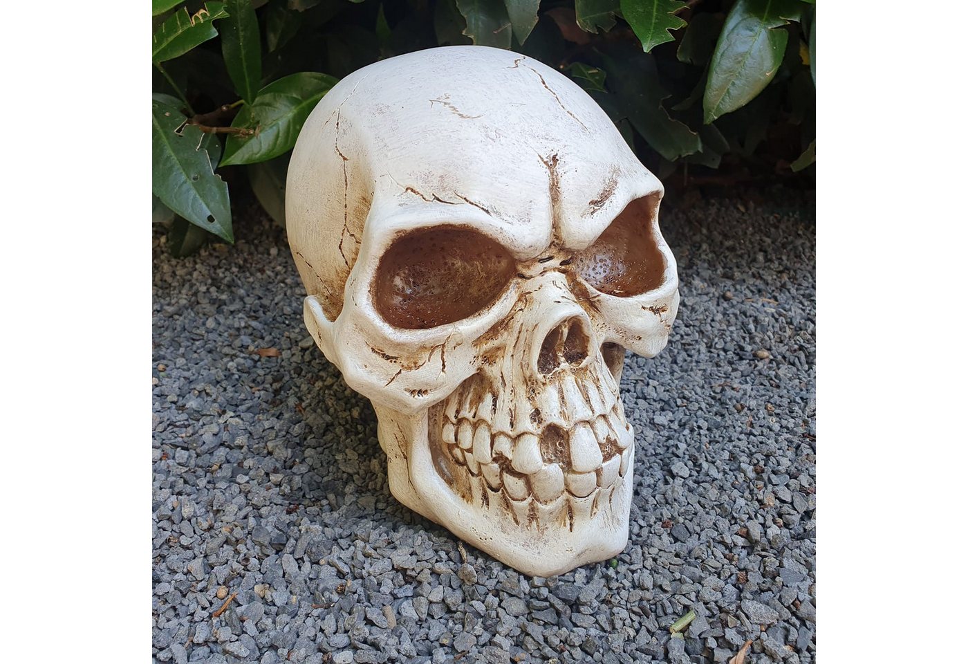 Aspinaworld Gartenfigur Gartenfigur Totenkopf Figur 17 cm von Aspinaworld