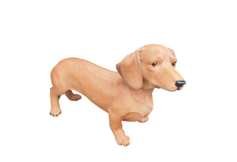 Aspinaworld Gartenfigur Gartenfigur stehende brauner Dackel Figur 30 cm, für den Garten Aspinaworld Gartenfigur Gartenfigur stehende brauner Dackel Figur 30 cm, für den Garten von Aspinaworld