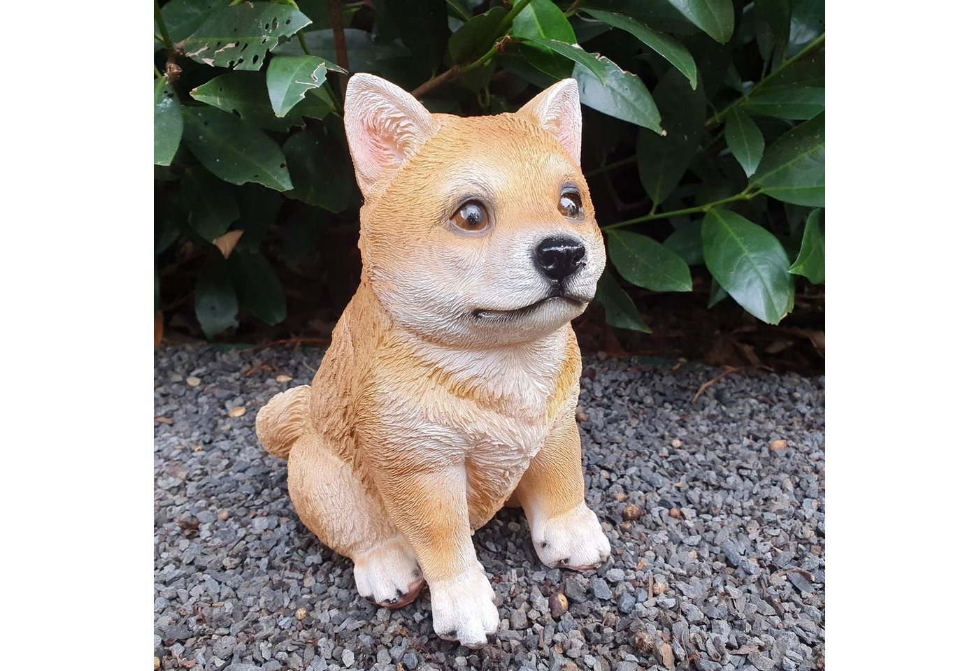 Aspinaworld Gartenfigur Shiba Inu Hunde Figur sitzt 19 cm von Aspinaworld