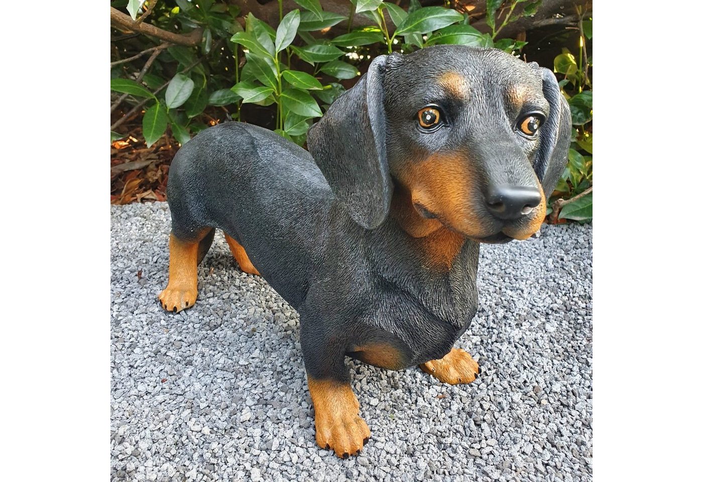 Aspinaworld Gartenfigur Stehender schwarze Dackel Figur 32 cm, Figur für den Garten Aspinaworld Gartenfigur Stehender schwarze Dackel Figur 32 cm, Figur für den Garten von Aspinaworld