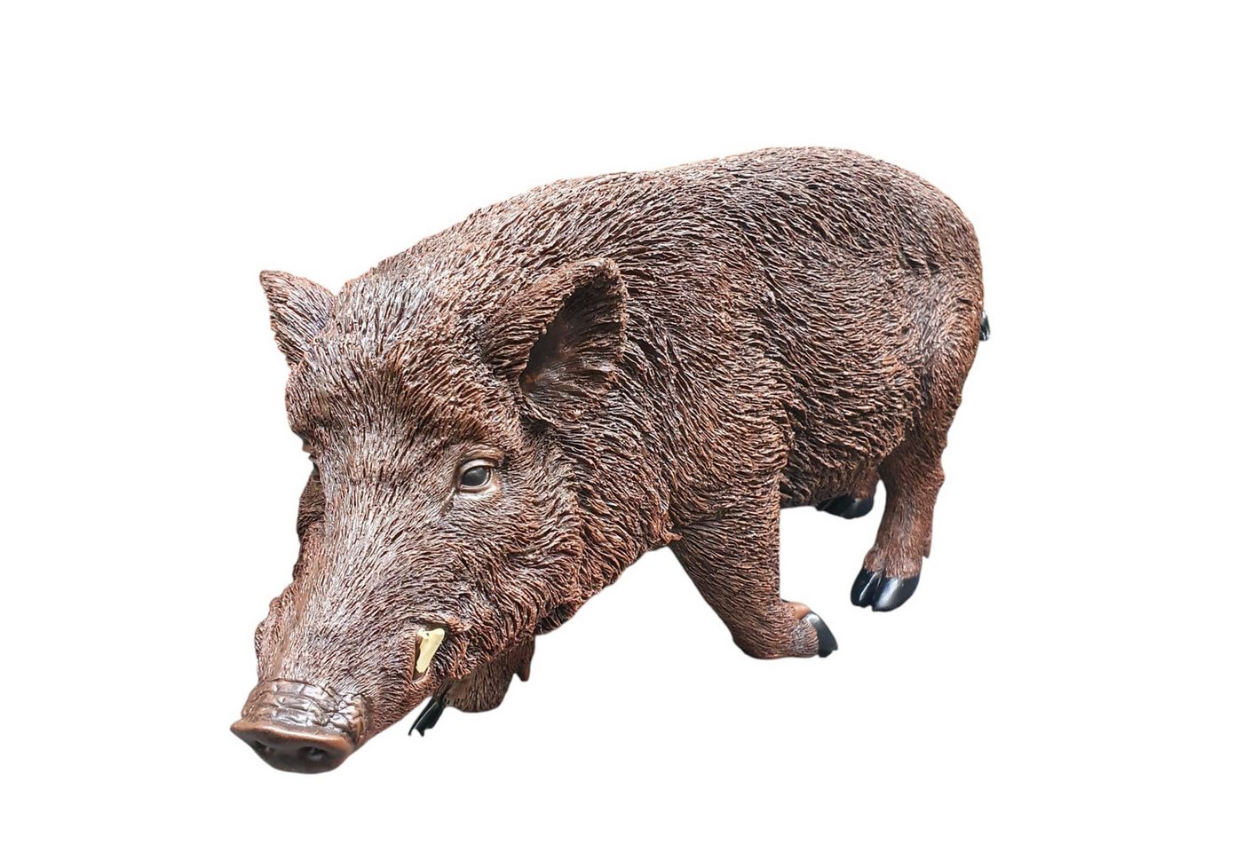 Aspinaworld Gartenfigur Wildschwein Figur auf der Lauer 30 cm, Figur für den Garten Aspinaworld Gartenfigur Wildschwein Figur auf der Lauer 30 cm, Figur für den Garten von Aspinaworld