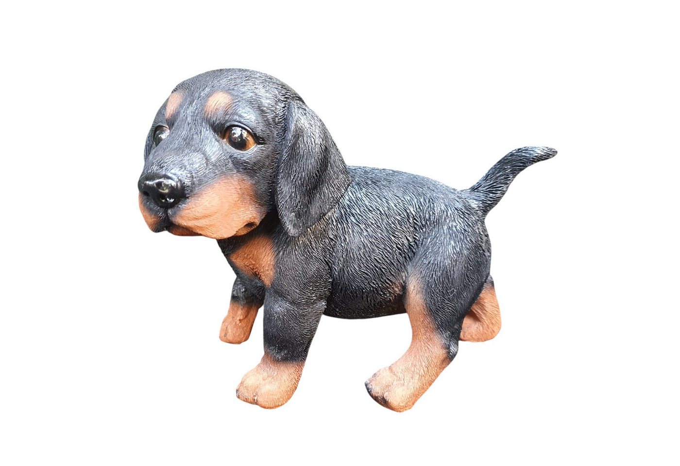 Aspinaworld Gartenfigur Dackel Welpe sitzt 17 cm, Figur für den Garten von Aspinaworld