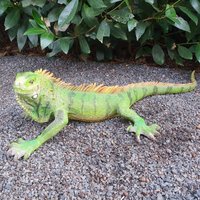 Gartenfigur Leguan Figur 60 cm Lang, Für Den Garten Gartenfigur Leguan Figur 60 cm Lang, Für Den Garten von Aspinaworld