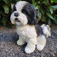 Gartenfigur Shih Tzu Hunde Figur Sitzt 21 cm Gartenfigur Shih Tzu Hunde Figur Sitzt 21 cm von Aspinaworld
