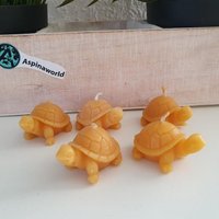 Schildkröten Kerze 5Er Set Aus 100% Bienenwachs von Aspinaworld