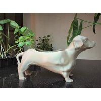 Übertopf Für Dackel, Hunde, Dackel Pflanzgefäß, Hundeliebhaber, Und Töpfe, Boden & Teppiche von AspireTree