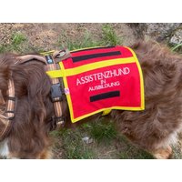 Kenndecke Für Assistenzhund - Version Cape | Ausbildungsnachweis, Oder Prüfbescheinigung Erforderlich von AssistenzhundeShop