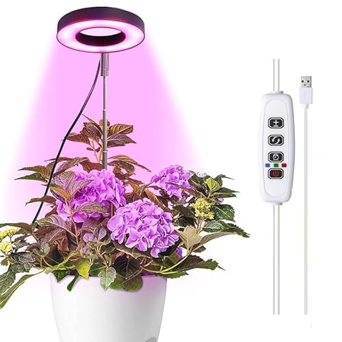 Asslye Pflanzenlampe LED Vollspektrum, LED Grow Lampe für Zimmerpflanzen, Wachstumslampen für Pflanzen mit 3 Lichter Modi und 10 Helligkeit, Höhenverstellbar, 3/9/12 Std Timer von Asslye