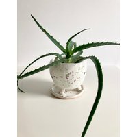 Handgemachte Keramik Blumentopf Aus Ton von AstaVuoseCeramics