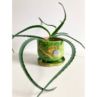 Handgemachter Keramik Übertopf Aus Ton, Handgemachtes Unikat, Grüner Keramik, Handgefertigte Pflanzentöpfe, Schnecke, Kunst Naturnah, Handgefertigt Handgemachter Keramik Übertopf Aus Ton, Handgemachtes Unikat, Grüner Keramik, Handgefertigte Pflanzentöpfe, Schnecke, Kunst Naturnah, Handgefertigt von AstaVuoseCeramics