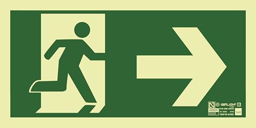Astlight SAL5215.7F Photolumineszierendes Richtungssignal, mehrfarbig von Astlight