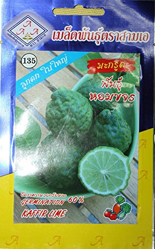 15seeds Thai Kaffir Limette, Citrus Hystrix, Bai Magrood, Leech Kalk Seeds von 3A von Astonish