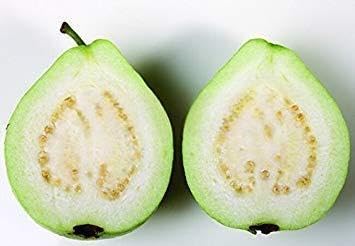 ASTONISH Erstauner SEEDS: Home Gartenpflanze 20 Samen Goiaba Guave Guave Fruchtsamen von Astonish