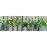 ASTRA Küchenläufer "Miabella 1669" rechteckig 7 mm Höhe In -und Outdoor geeignet ASTRA Küchenläufer "Miabella 1669" rechteckig 7 mm Höhe In -und Outdoor geeignet von Astra