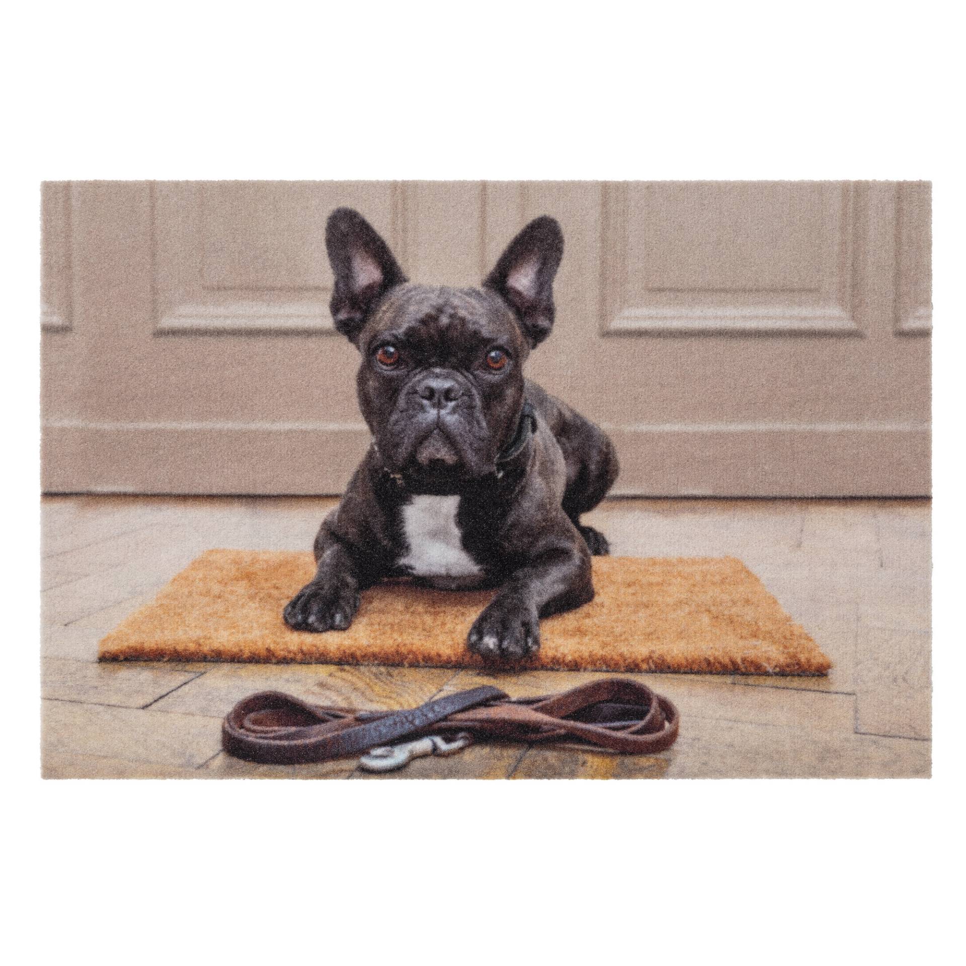 Astra Sauberlaufmatte 'Deco Print' 40 x 60 cm Bulldogge braun Astra Sauberlaufmatte 'Deco Print' 40 x 60 cm Bulldogge braun von Astra