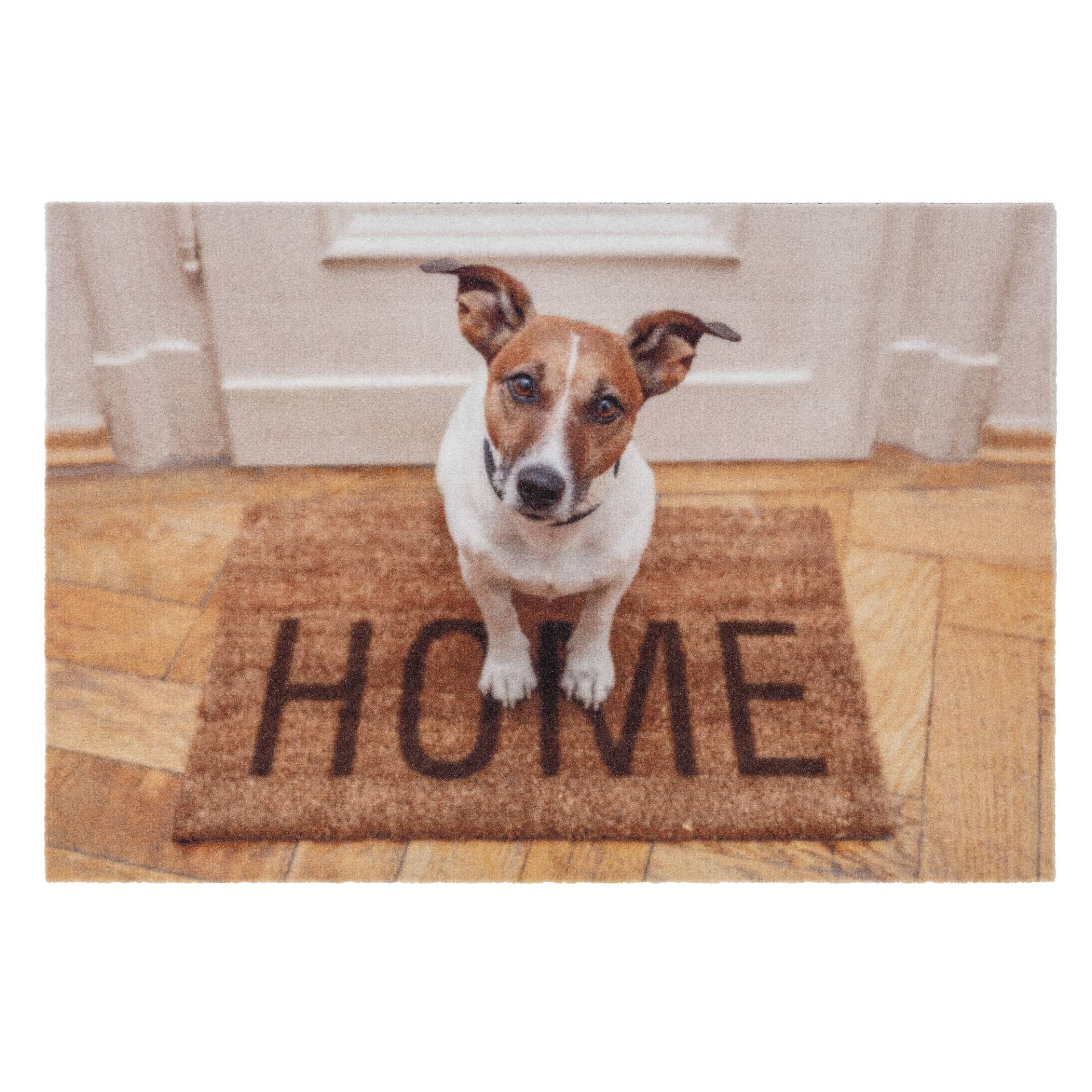 Astra Sauberlaufmatte 'Deco Print' 40 x 60 cm Hund Home braun Astra Sauberlaufmatte 'Deco Print' 40 x 60 cm Hund Home braun von Astra