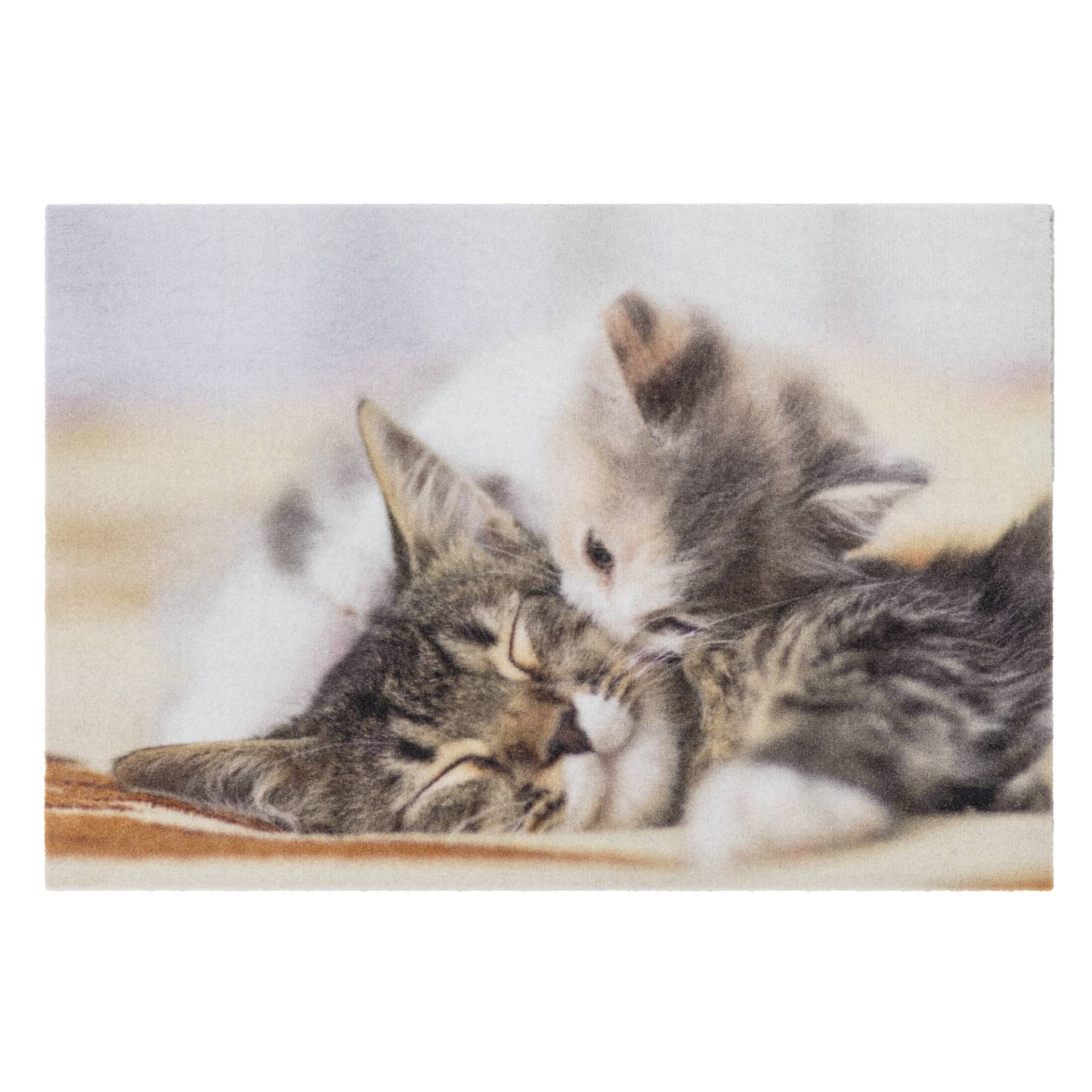Astra Sauberlaufmatte 'Deco Print' 40 x 60 cm Kitten braun Astra Sauberlaufmatte 'Deco Print' 40 x 60 cm Kitten braun von Astra
