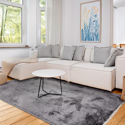 Hochwertiger Teppich Wohnzimmer, Schlafzimmer - Kuscheliger Kurzflorteppich weich - Einfarbiges Flachgewebe für Innen - Teppich Anthrazit, 80x150 cm von Astra