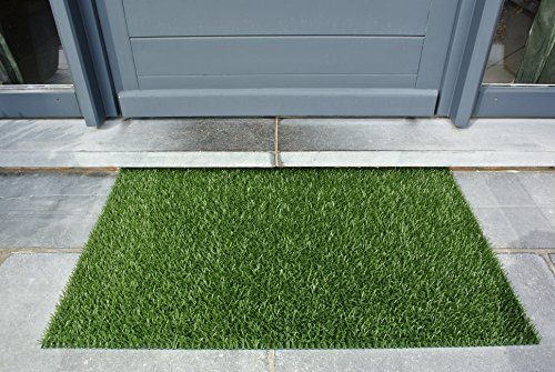 AstroTurf Classic Fußmatte, Fußabstreifer Eingangsmatte für Innen-und Außenbereich, Unvergleichliche Reinigungsleistung, Polyethylen, Klassisch-Grün, 90x55x2 cm von AstroTurf