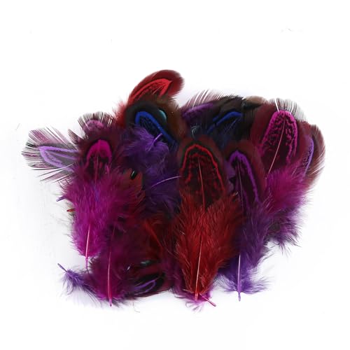 Asudaro 50 Stück Basteln Federn DIY Bastelfedern 4.5-10CM Natürliche Gänsefedern Assorted Craft Feder Dekorationen für DIY Traumfänger Handwerk Assorted Federn Handwerk Feder Gemischte Farbe Asudaro 50 Stück Basteln Federn DIY Bastelfedern 4.5-10CM Natürliche Gänsefedern Assorted Craft Feder Dekorationen für DIY Traumfänger Handwerk Assorted Federn Handwerk Feder Gemischte Farbe von Asudaro