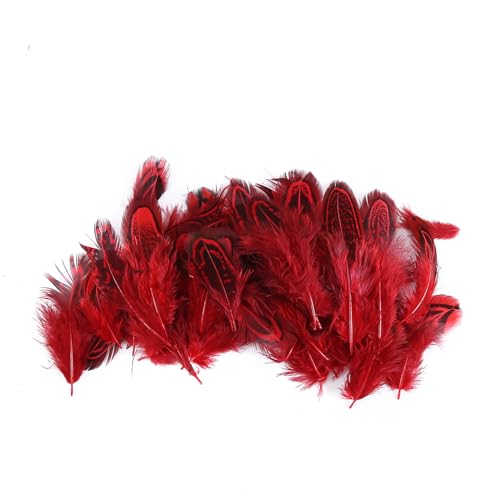 Asudaro 50 Stück Basteln Federn DIY Bastelfedern 4.5-10CM Natürliche Gänsefedern Assorted Craft Feder Dekorationen für DIY Traumfänger Handwerk Assorted Federn Handwerk Feder Rot Asudaro 50 Stück Basteln Federn DIY Bastelfedern 4.5-10CM Natürliche Gänsefedern Assorted Craft Feder Dekorationen für DIY Traumfänger Handwerk Assorted Federn Handwerk Feder Rot von Asudaro
