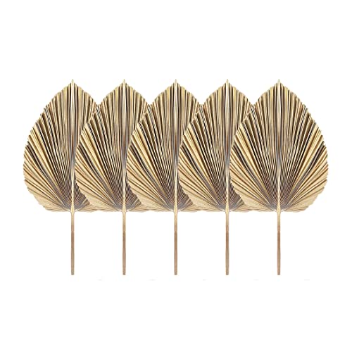 Asuinxurr 5 StüCk NatüRliche Getrocknete PalmbläTter Tropische Getrocknete PalmfäCher Boho Trockene BläTter für Zuhause KüChe Hochzeit von Asuinxurr