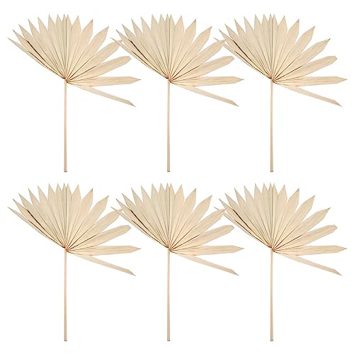 Asuinxurr 6 StüCk GroßE Getrocknete Palm BläTter NatüRliche Getrocknete Palm FäCher Getrocknete Blumenstrauß Hochzeit Dekore Getrocknete FäCherpalmen BläTter von Asuinxurr