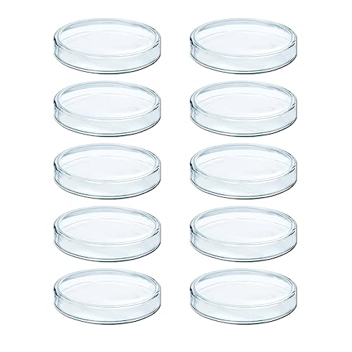 10pcs Hohe Borosilikat Glas Petrischalen Für Bioresearch Sterile Petrischalen Medizinische Biologische Scho Glaswaren Forschungsmikrobiologie Versorgung Gewebekulturschale von Asukohu
