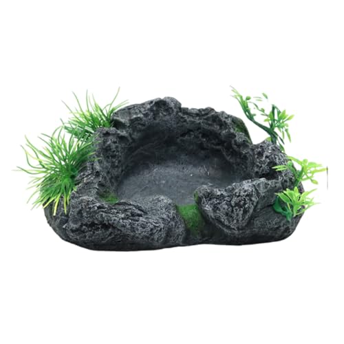 Asukohu Harze Reptilien Wassernapf Anti-Rutsch Klettern Haustier Wasserschale Trinkfutter Futterspender für Schildkröten und Eidechsen Trinkamphibien Futternapf Asukohu Harze Reptilien Wassernapf Anti-Rutsch Klettern Haustier Wasserschale Trinkfutter Futterspender für Schildkröten und Eidechsen Trinkamphibien Futternapf von Asukohu