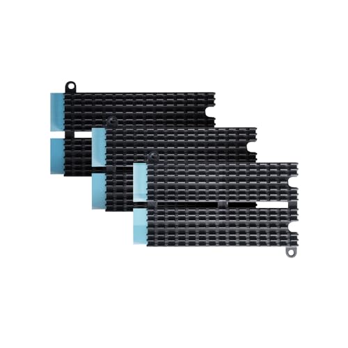 Asustor AS-HK1, M.2 Kühlkörper Kompatibel mit Flashstor FS6706T FS6712X / AS-T10G3 von Asustor