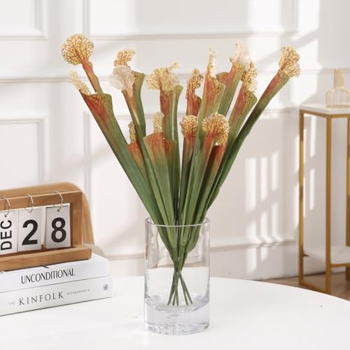 AtHomeYuyue 5 Stück 44,5 cm künstliche fleischfressende Krug Simulation Sarracenie für Heimdekoration und grünes Blatt, Hochzeitsfest-Dekoration. AtHomeYuyue 5 Stück 44,5 cm künstliche fleischfressende Krug Simulation Sarracenie für Heimdekoration und grünes Blatt, Hochzeitsfest-Dekoration. von AtHomeYuyue