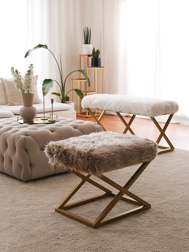 Atelier Del Sofa Stylish Pouffe with Metal Frame, Plush Fabric, 50 cm W x 42 cm H x 40 cm D | Elegant Brown & Gold Design | Perfect for Living Room & Bedroom Atelier Del Sofa Stylish Pouffe with Metal Frame, Plush Fabric, 50 cm W x 42 cm H x 40 cm D | Elegant Brown & Gold Design | Perfect for Living Room & Bedroom von Atelier Del Sofa
